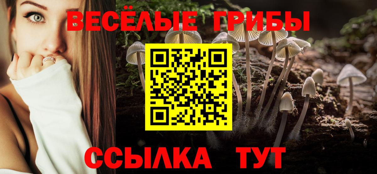 Галлюциногенные грибы прущие грибы  Галлюциногенные грибы мицелий  Касимов  Вход с VPN 